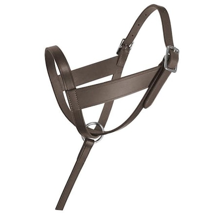 Jacks 1656 Lexington Leather Foal Halter